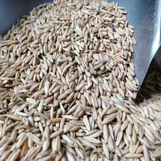 Yến mạch Úc UNIGRAIN