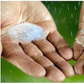 Bột giữ ẩm cho đất - Viên ngậm nước ứng dụng trồng cây