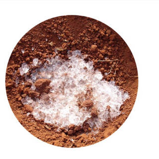 Hạt polyme siêu hấp thụ nước SAMS1 giữ ẩm và cải tạo đất hiệu quả