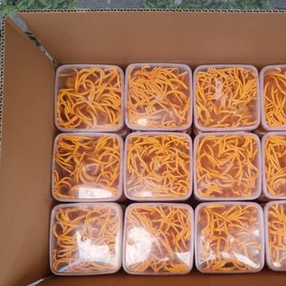 Nguồn Sỉ Đông trùng hạ thảo tươi (bán buôn bán sỉ)