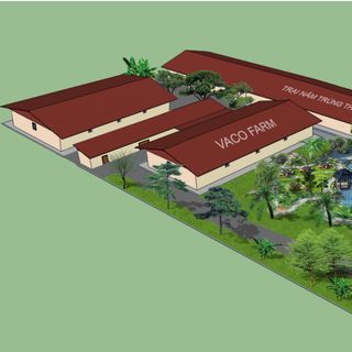 Nguồn sỉ Đông trùng hạ thảo khô (bán sỉ bán buôn)
