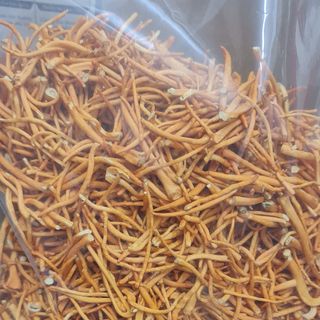 Gia công đóng gói đông trùng hạ thảo