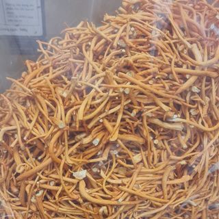Gia công đóng gói đông trùng hạ thảo