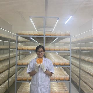 Gia công đóng gói đông trùng hạ thảo