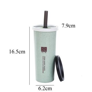 Bình nước lúa mạch Dr Show 2 nắp dung tích 450ml kèm ống hút