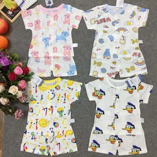 bộ cộc giấy cúc vai