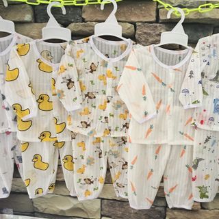 bộ cộc giấy cúc vai