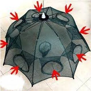 Lưới bắt cá 8 lỗ về sẵn sll