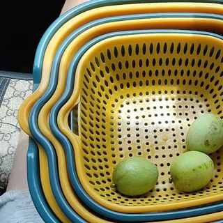 Séc rổ