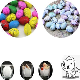 Trứng khủng long ngâm nước nở ra khủng long chơi rất vui