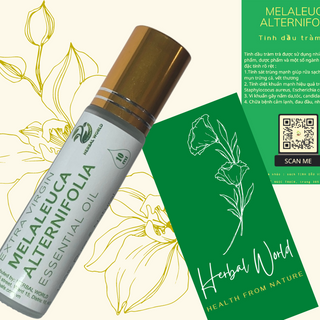 TINH DẦU TRÀM TRÀ HERBAL WORLD - Bi Lăn 10ml