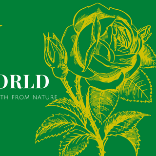 TINH DẦU TRÀM TRÀ HERBAL WORLD - Bi Lăn 10ml