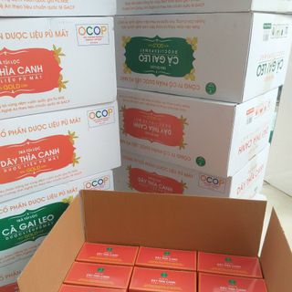 Cao Cà Gai Leo pha nước uống trực tiếp