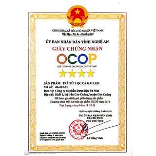 Cao Cà Gai Leo pha nước uống trực tiếp