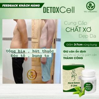 Detox rau xanh giảm mỡ bụng