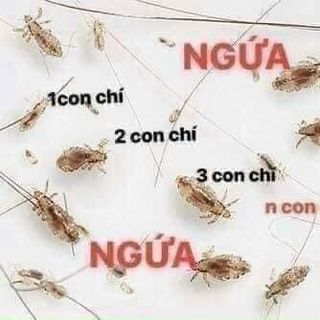 RƯỢU Ủ CHẤY GIA TRUYỀN