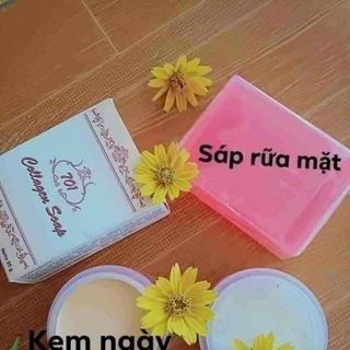 Kem ngày đêm collagen giá sỉ