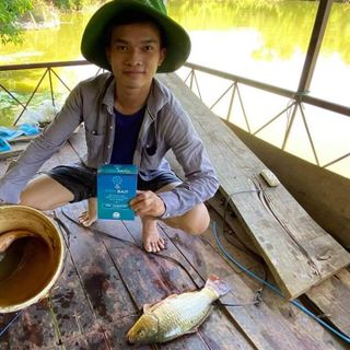 Viên Sủi Thu Hút Cá