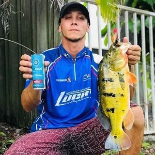 Viên Sủi Thu Hút Cá