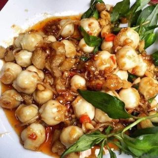 Răng mực tươi