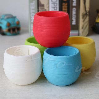 chậu trồng cây mini decor