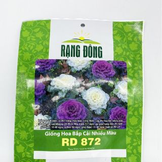 Hạt giống Hoa bắp cải kiểng nhiều màu Rạng Đông RD 872 HGHRD872 giá sỉ
