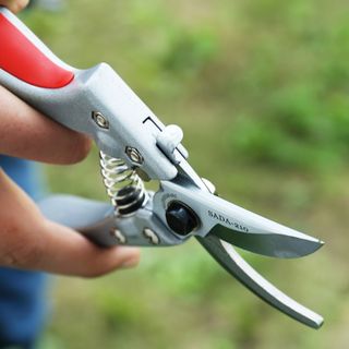 Kéo cắt cành SADA 210