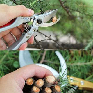 Kéo cắt cành SADA 210