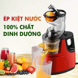 Máy ép chậm hongxin RH312