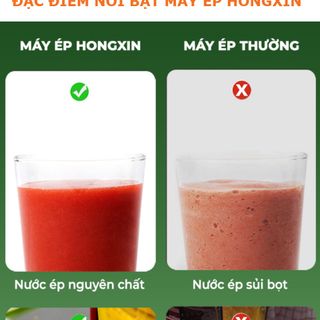 Máy ép chậm hongxin RH312