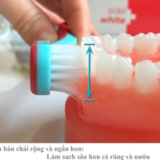 Bàn Chải siêu mềm PRO-GUM Thụy Sĩ