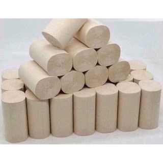 Cuộn Giấy vệ sinh gấu trúc Baihou, giấy gấu trúc, giấy vệ sinh siêu dai, không lõi, mịn, an toàn tuyệt đối, tiết kiệm chi phí, giấy vệ sinh gấu trúc sipao, giấy vệ sinh gấu trúc baihou, giấy đa năng