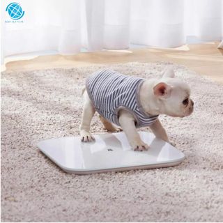Cân điện tử Xiaomi Scale 2