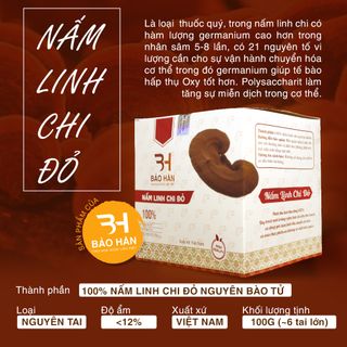 Tai Nấm Linh Chi Thái Lát 100g