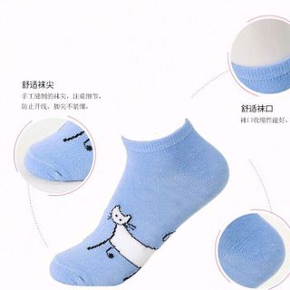 Tất mèo nữ giá sỉ
