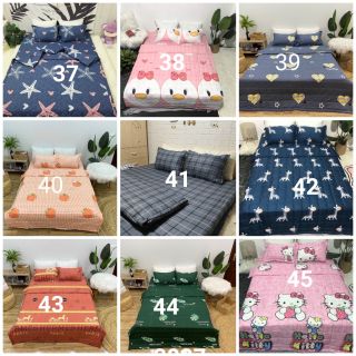 BỘ CHĂN GA GỐI HÈ 5 MÓN POLY COTTON