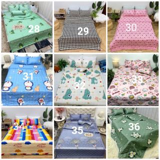 BỘ CHĂN GA GỐI HÈ 5 MÓN POLY COTTON