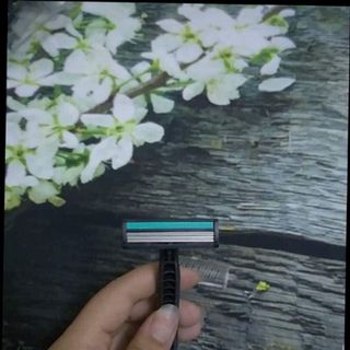 Dao cạo dâu x4 có hàng. giá sỉ