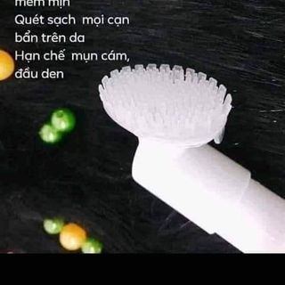 Sữa rửa mặt đầu cọ