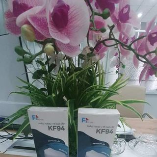 Khẩu trang y tế cao cấp KF94 (10 cái/hộp)