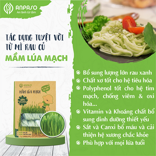 Mì Mầm Lúa Mạch Hữu Cơ 300g giá sỉ