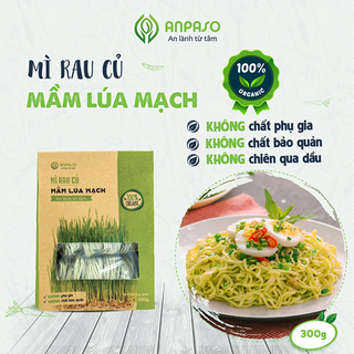 Mì Mầm Lúa Mạch Hữu Cơ 300g