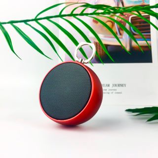 Loa Bluetooth Mini Bs02 Có Móc Treo Tiện Lợi Và Khe Cắm Thẻ Nhớ, Cổng 3.5 - BINTECH