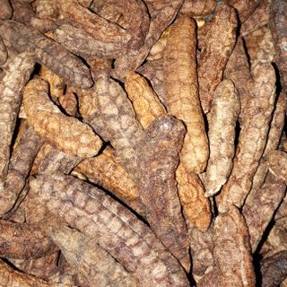 Chuối hột rừng dùng ngâm rượu số lượng nhiều không hạn chế giá nguồn