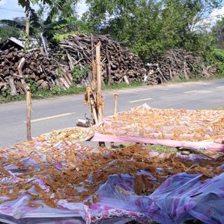Măng khô Kon Tum giá tận nguồn