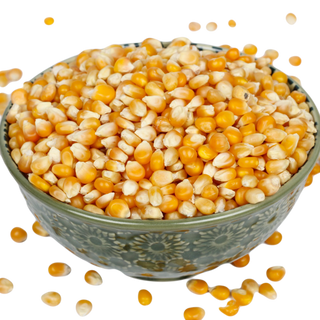 Bắp hạt nổ Mỹ (Nguyên liệu làm bắp rang bơ)