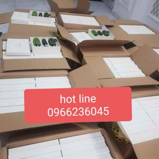 Set bưởi vujuly