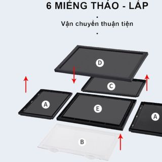 Hộp đựng giày cao cấp - Cửa nam châm | D.SBOX
