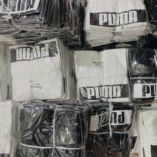 Áo thun nữ in chữ thun cotton cao cấp đơn giản dễ phối đồ freesize