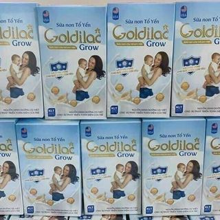 Tìm nhà phân phối, đại lý, ctv sữa non tổ yến Goldilac Grow